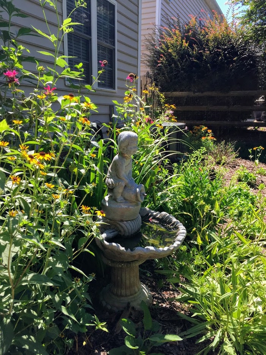 Backyard Respite Landscape in the Summer