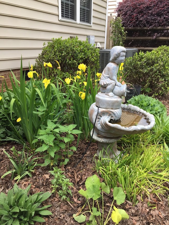 Backyard Respite Landscape in the Spring