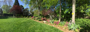 Backyard Respite Landscape