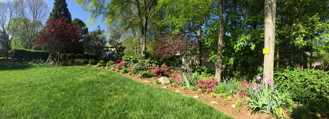 Backyard Respite Landscape