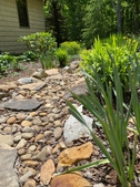 Dry Rock stream garden