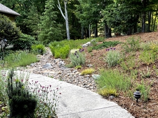 View from walk to home