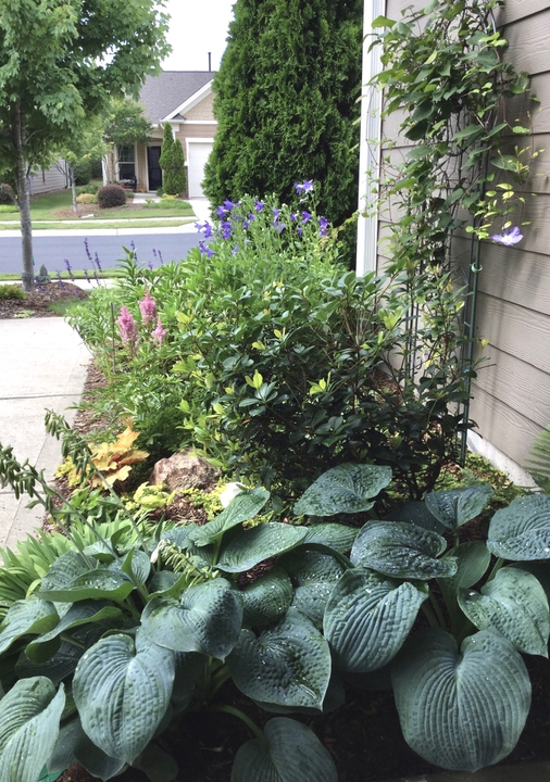 Plant group