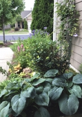Plant group