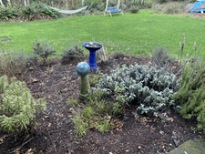Winter in the garden.