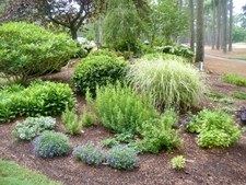 Early summer and everything is tidy