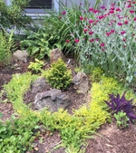 Sun and Shade Demo Garden in the Spring