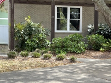 Spring view