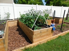 Container vegetable garden