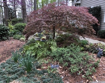 Corner garden side view