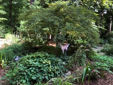 Corner garden