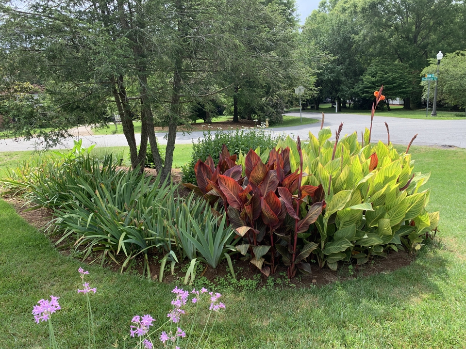 Corner planting