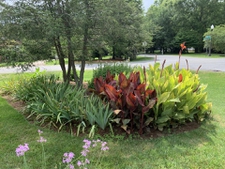 Corner planting