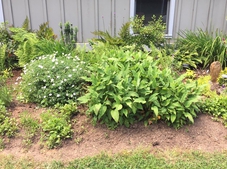Sun and Shade Demo Garden in the Spring