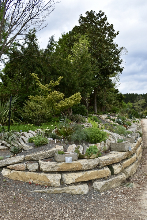 Photograph F: Crevice Garden in April