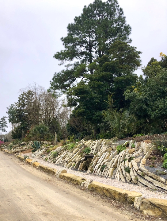 Crevice Garden in March