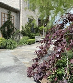 Garden visit