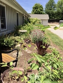 A garden bench offers a welcome spot to sit and enjoy the summer