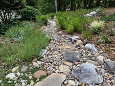 Summer foliage frames rock bed