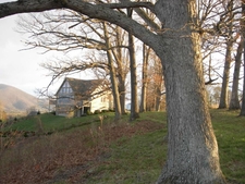 Oaks along the ridge top before the landscape was developed.