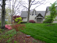 Lawn with red & gold Japanese maples, pink azalea, & large oaks.