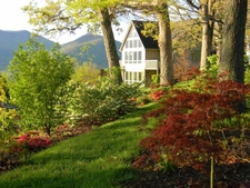View of ridge top to home with mature oaks & other trees&shrubs.