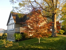 View across lawn with a variety of trees