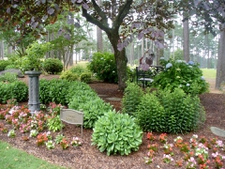 Nice garden structure