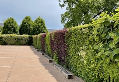 Parking lot border