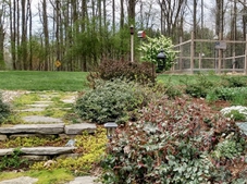 Stone steps to lawn