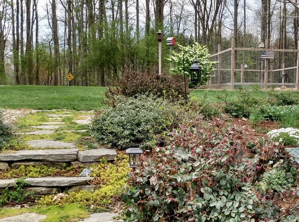 Stone steps to lawn