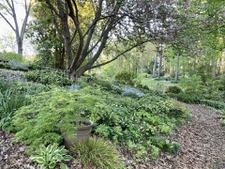 Shade Bank