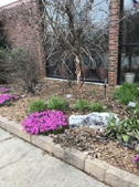 Late winter- early March