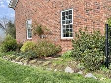 Plants beginning to develop new growth