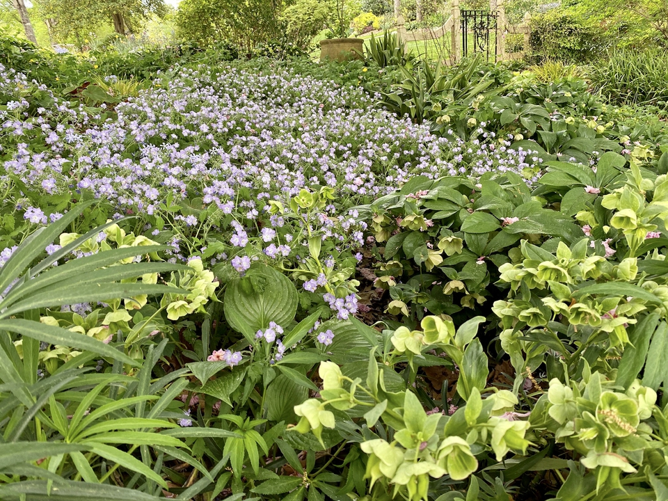 Shade Slope