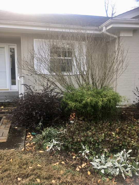 Late fall view