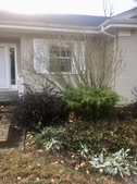 Late fall view