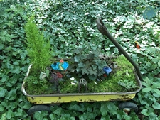 Old yellow wagon planted with moss & small plants.