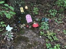 small plants & a painted "door" affixed to a tree trunk.