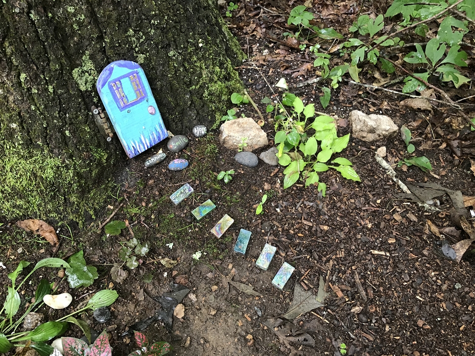 small plants & a painted "door" affixed to a tree trunk.