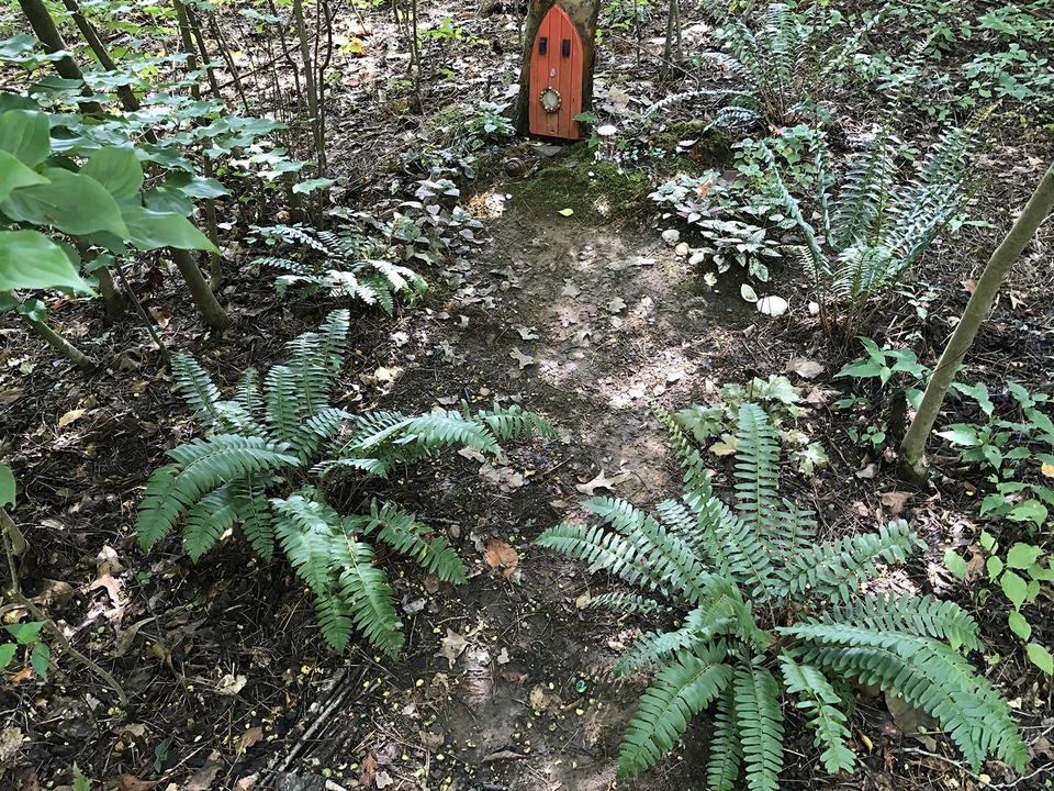 ferns & a painted "door" affixed to a tree trunk.
