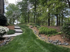 Concrete walkway softened by plantings and a strip of lawn.