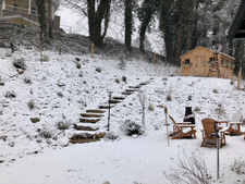A Young Garden Covered In Snow