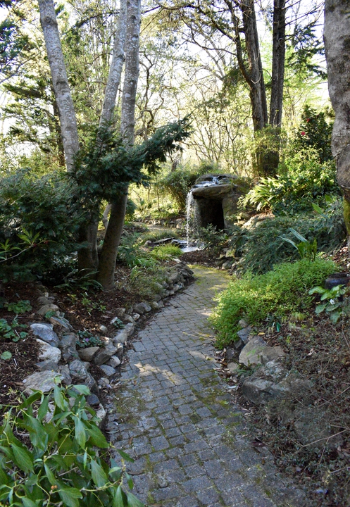 Front Shade Garden in winter. Much more light.
