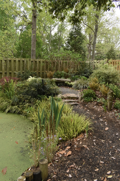 Front Shade Garden in spring