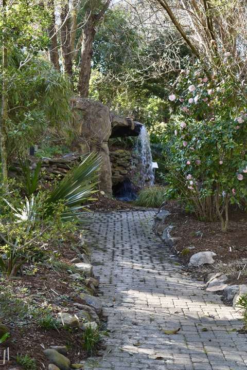 Front shade garden in spring
