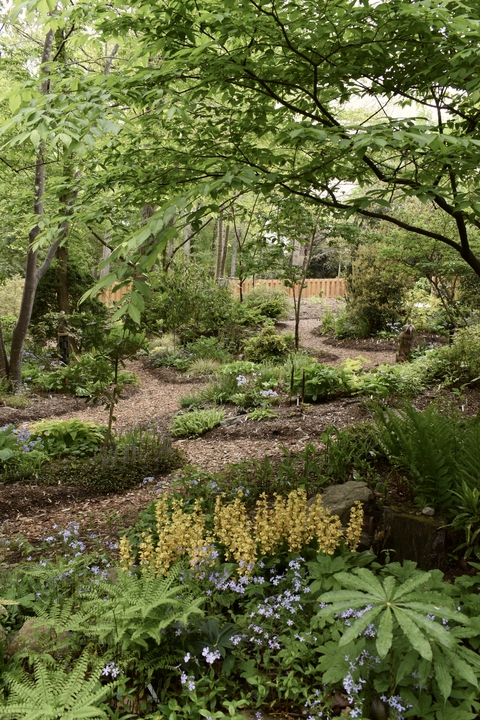 Front Shade Garden in spring