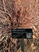 Example of Etched Aluminum Plant ID tag with QR Code