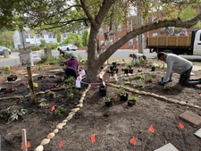 Spoke Wheel Design Installation in Shade Garden