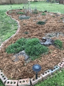 Mid march- plants emerging and new mulch applied
